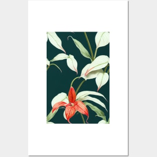 Botanical drawing of Anthurium Posters and Art